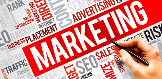 Tuyển gấp 03 nhân viên phát triển và Triển khai website