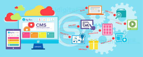 Website là gì - Ảnh 04 Website là gì - Ảnh 04