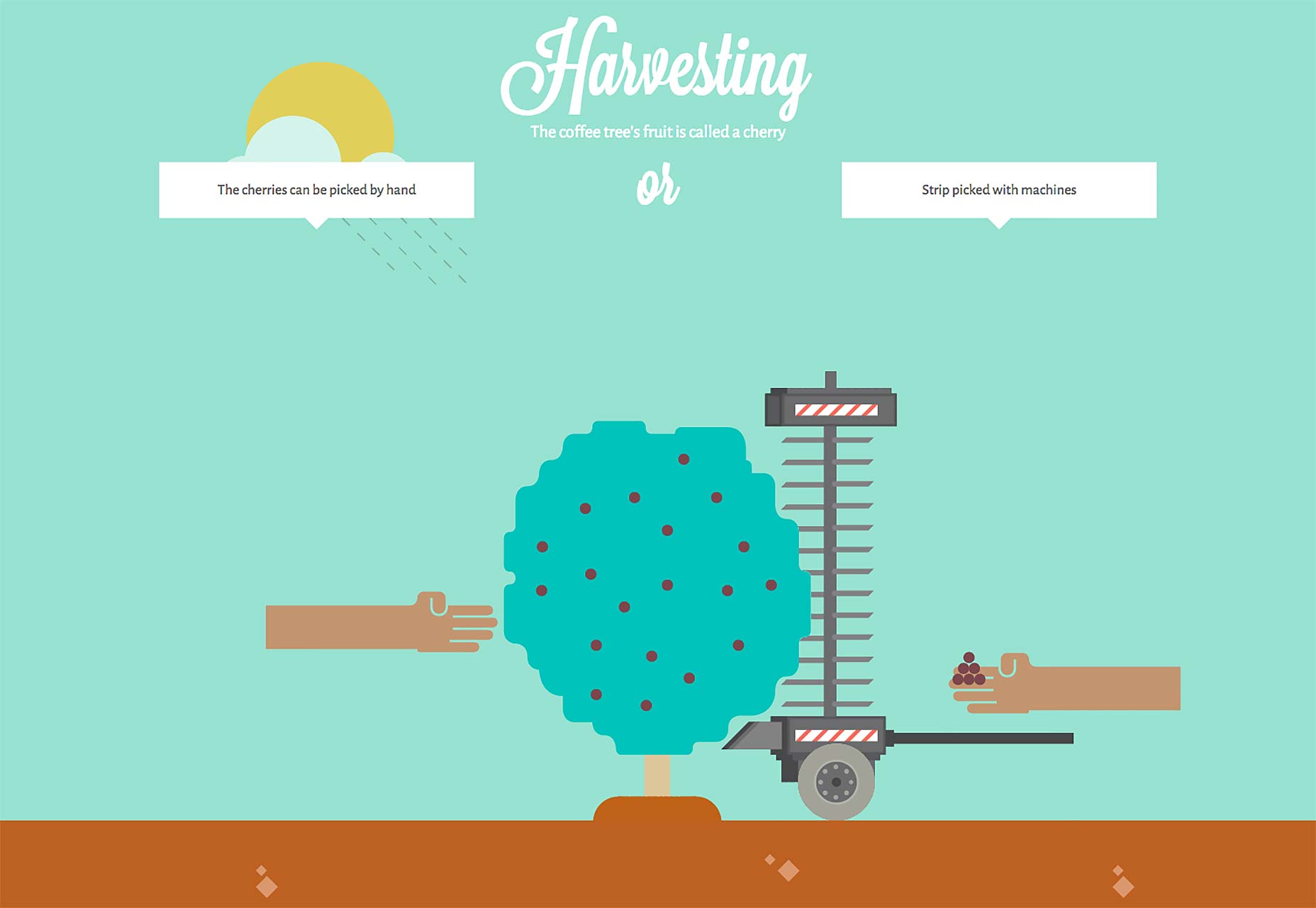 hiệu ứng ứng dụng website