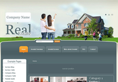 Template Website Bất động sản, thiết kế website bất động sản 04