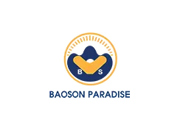 Thiết kế web cho Tập đoàn Bảo Sơn