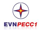 Công ty cổ phần tư vấn xây dựng điện 1