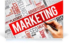 Tuyển gấp 03 nhân viên phát triển và Triển khai website