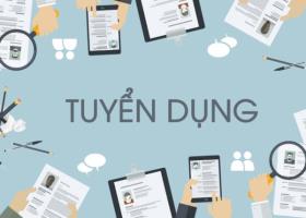 Tuyển dụng thực tập viên hoặc học việc IT