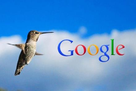 SEO thời kì hậu HummingBird - Thuật toán chim ruồi