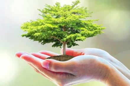 Thiết kế website Môi trường