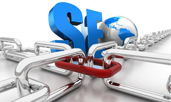 Sự chọn lọc tự nhiên, các đường link bị mất và SEO Sự chọn lọc tự nhiên, các đường link bị mất và SEO