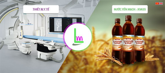 Giao diện website leminhco.com