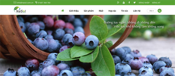 Giao diện website nasol.com.vn
