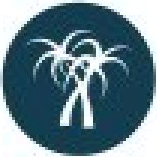 icon quy trình thiết kế website du lịch 06