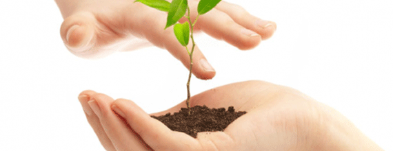 Giao diện và cảm nhận về website, web kinh doanh không hiệu quả Giao diện và cảm nhận về website, web kinh doanh không hiệu quả