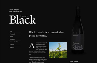 mẫu thiết kế web sử dụng màu đen trắng tuyệt đẹp 12